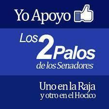 Diccionario de Términos Chilenos (Actualizable) Carerajismo