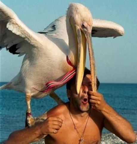 Diccionario de Términos Chilenos (Actualizable) Pico En el Ojo