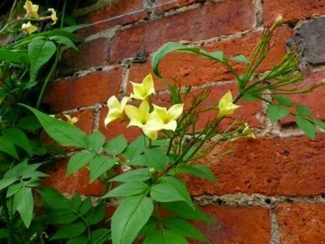 TERRAZAS CON COLOR Colores para las paredes del patio o la terraza