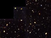 campo profundo MUSE