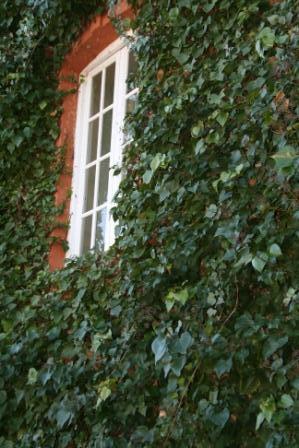 Tu boda, como una reina, en Valdepalacios Tu boda, como una reina, en Valdepalacios