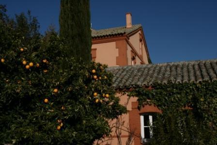 Tu boda, como una reina, en Valdepalacios Tu boda, como una reina, en Valdepalacios