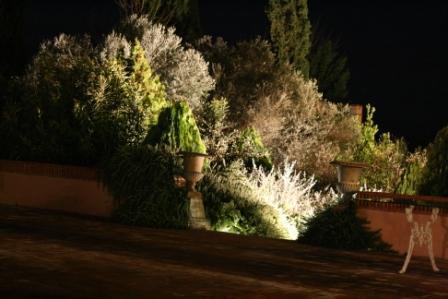 Tu boda, como una reina, en Valdepalacios Tu boda, como una reina, en Valdepalacios