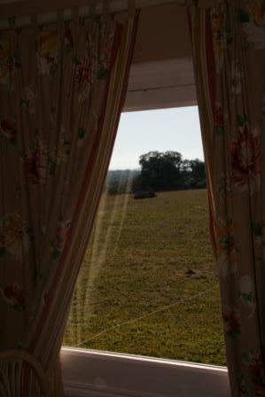 Tu boda, como una reina, en Valdepalacios Tu boda, como una reina, en Valdepalacios