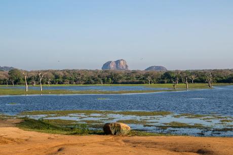 Vistas del parque de Yala