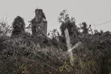 cementerio de mascotas abandonado