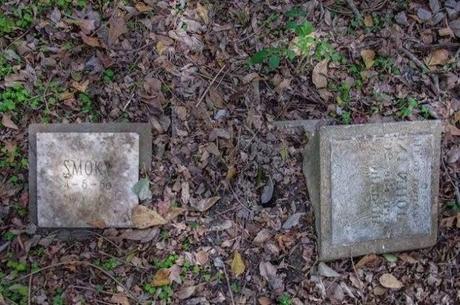 cementerio de mascotas abandonado