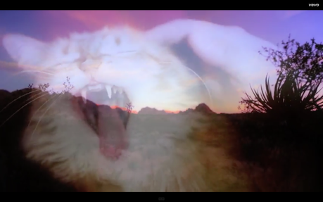 Ya podemos ver el video y escuchar la primera canción de lo nuevo de Bes Coast