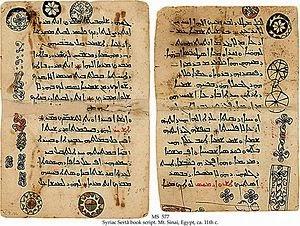 DAESH habría quemado más de 8.000 libros