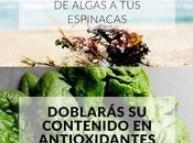 SEMANAL: fertilizante algas hojas ensalada