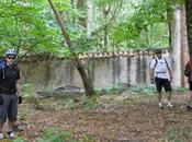 Cementerio moro barcia olvido