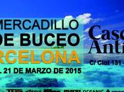 Mercadillo Casco Antiguo 2015