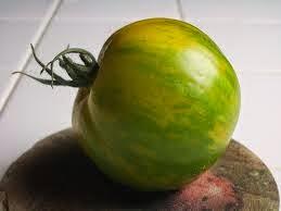 Cultivando Tomate Green Zebra