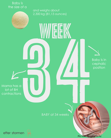 Semana 34 Embarazo | Week 34 Pregnancy