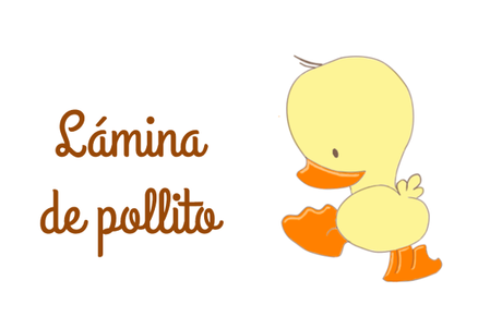 Lámina Pollito Imagen1