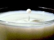 Leche azúcar para