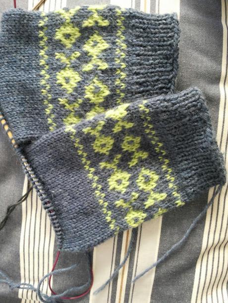 Accidentados avances de Swapetines 2015 (III)