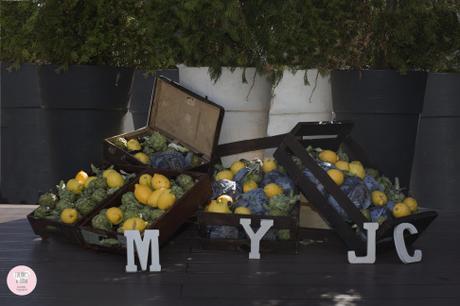 ¿De qué estilo quieres tu boda?