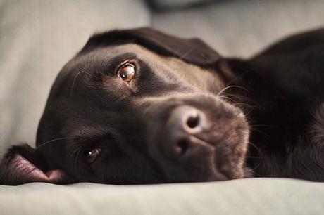 Aceptando la propia imperfección Cansancio por estrés en el trabajo.