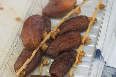 Berenjenas agridulces rellenas de atún, anchoas y dátiles