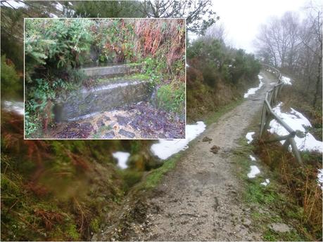 El Cantu Muñón-La Ceceal-L' Arquera-L' Artusu-La Peñona