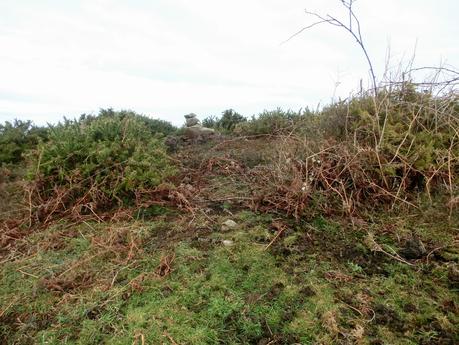 El Cantu Muñón-La Ceceal-L' Arquera-L' Artusu-La Peñona