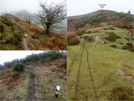 El Cantu Muñón-La Ceceal-L' Arquera-L' Artusu-La Peñona