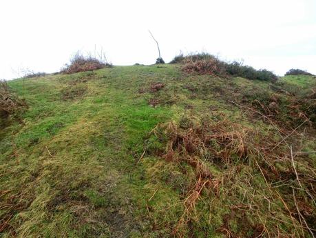 El Cantu Muñón-La Ceceal-L' Arquera-L' Artusu-La Peñona