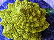 Crema Romanesco