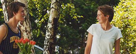 Bajo la Misma Estrella