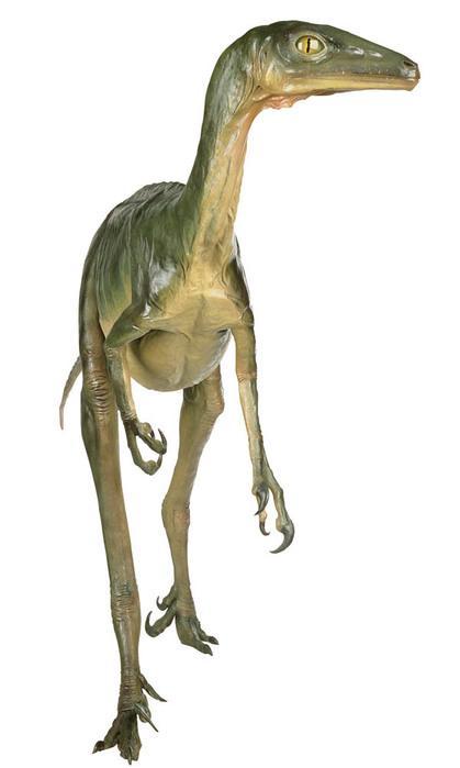 Evolución humanoide extraterrestre del dinosaurio