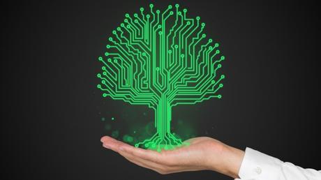 Nano Biosensores para Prevenir y Curar Enfermedades