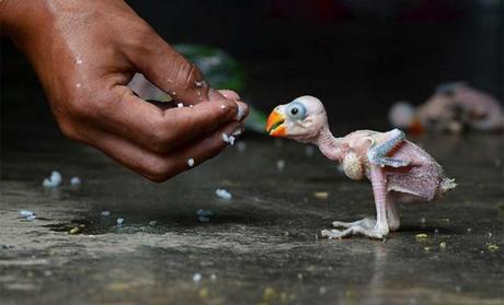 10 Secretos para ser Feliz y 15 Acciones para Renunciar A...