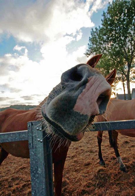 10 Secretos para ser Feliz y 15 Acciones para Renunciar A...