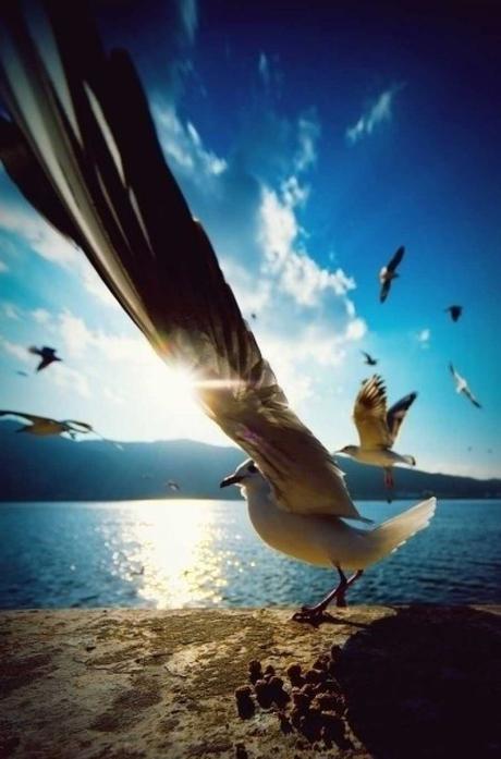 10 Secretos para ser Feliz y 15 Acciones para Renunciar A...