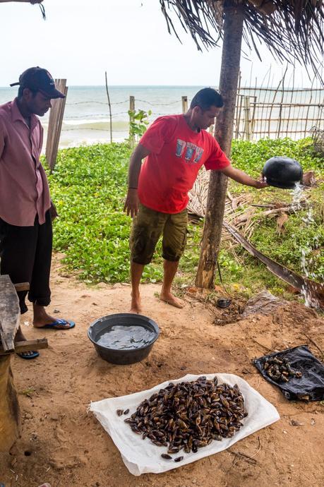 Sampath preparándonos mejillones, Tangalle