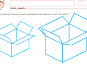 Grande pequeño lógico matemática años