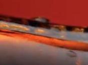 Comparte años botella única