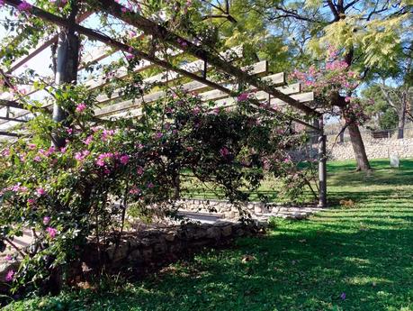 Can Mercader, los jardines del palacio