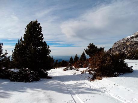 Port del Comte: imágenes invernales