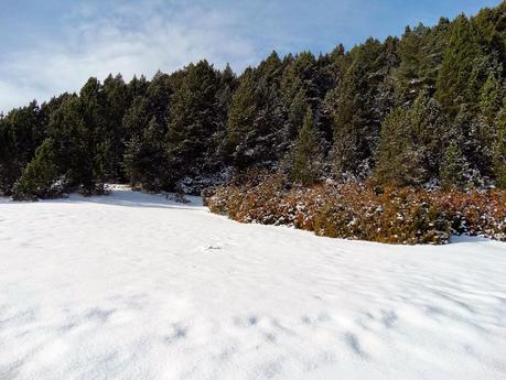 Port del Comte: imágenes invernales