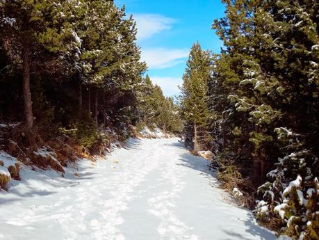 Port del Comte: imágenes invernales