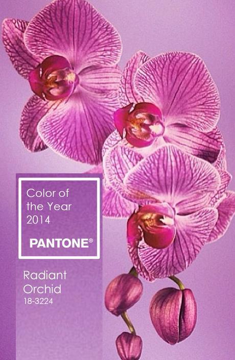 Radiant Orchid, color del año 2014