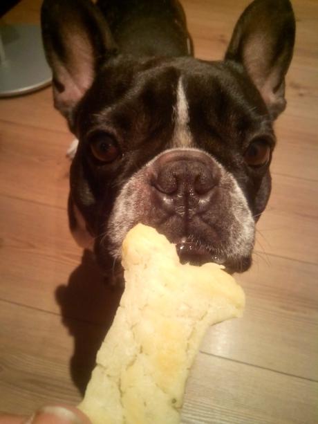 Galletas para perros