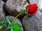 vida tiene estos contrastes...‏