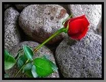 La vida tiene estos contrastes...‏