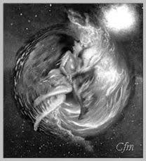 No se puede luchar contra los elementos