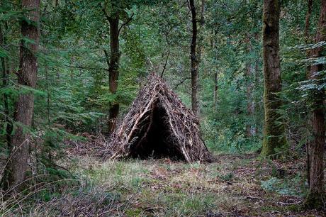 Art in the Woods by Ellie Davies