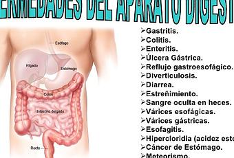 4 enfermedades del aparato digestivo 4 enfermedades del aparato digestivo