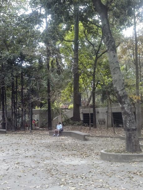 EL RECREO - Hay que mejorar el Parque Los Caobos